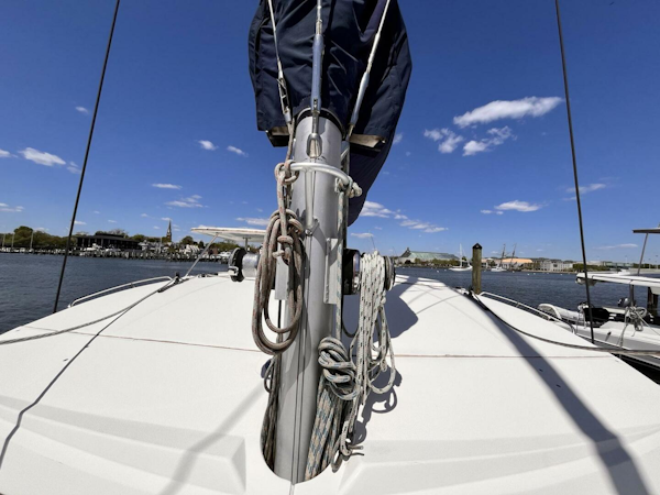 Leopard-39 2011-Festive Annapolis-Maryland-United States-4324402