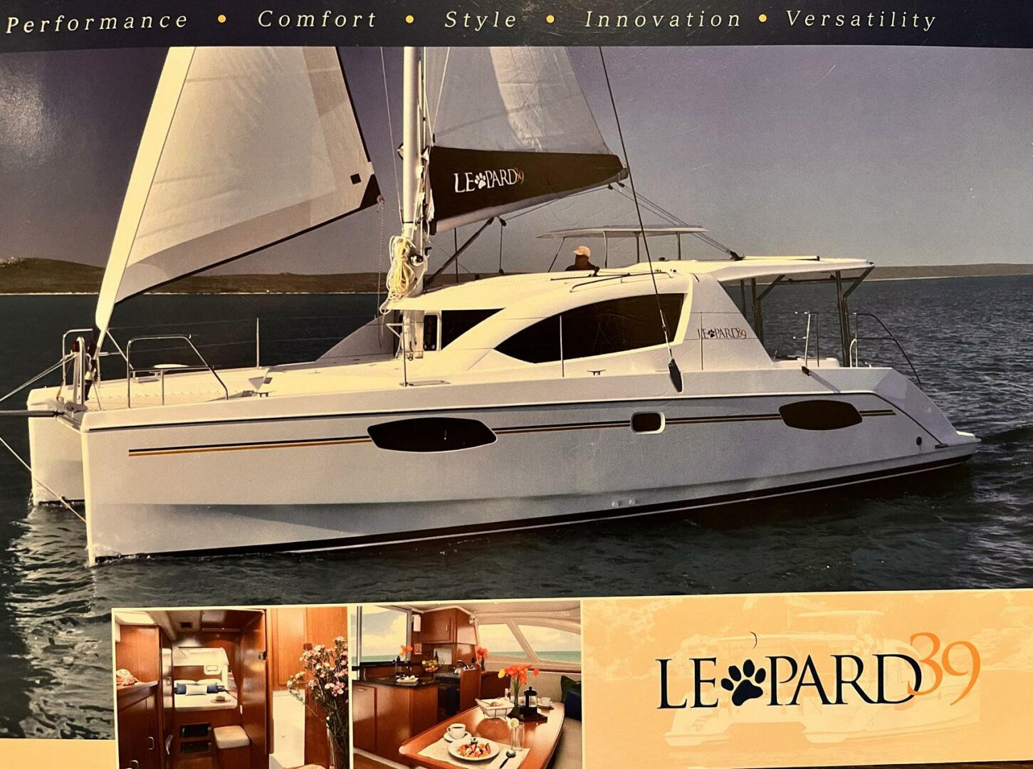 Leopard-39 2011-Festive Annapolis-Maryland-United States-4324464 | Thumbnail