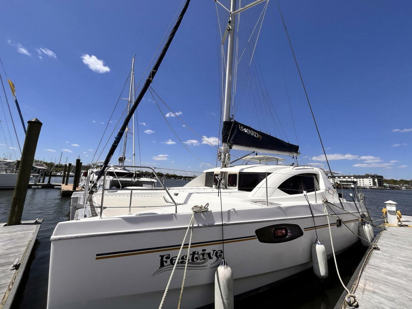 Leopard-39 2011-Festive Annapolis-Maryland-United States-4324380 | Thumbnail
