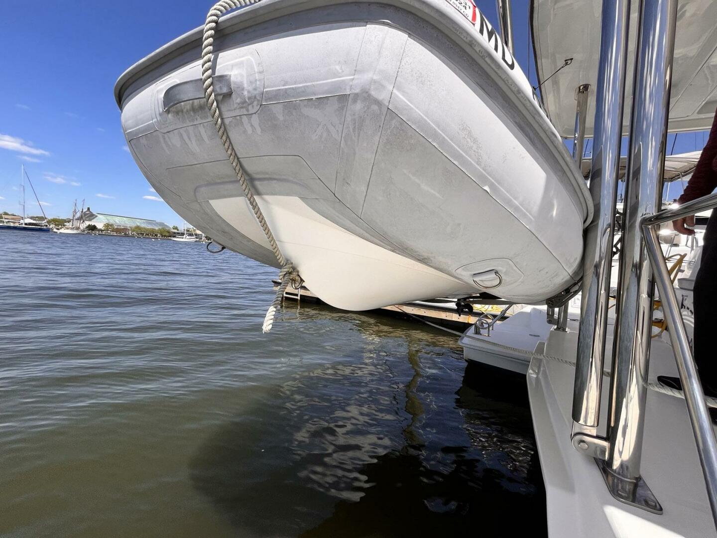 Leopard-39 2011-Festive Annapolis-Maryland-United States-4324460 | Thumbnail