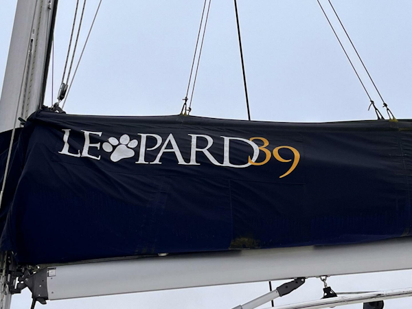 Leopard-39 2011-Festive Annapolis-Maryland-United States-4324379