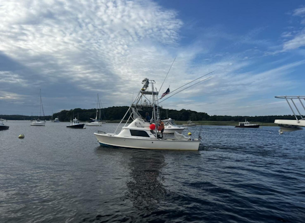 Bertram-31 1975-LITTLE EVA Newburyport-Massachusetts-United States-LITTLE EVA_Underway-4339169