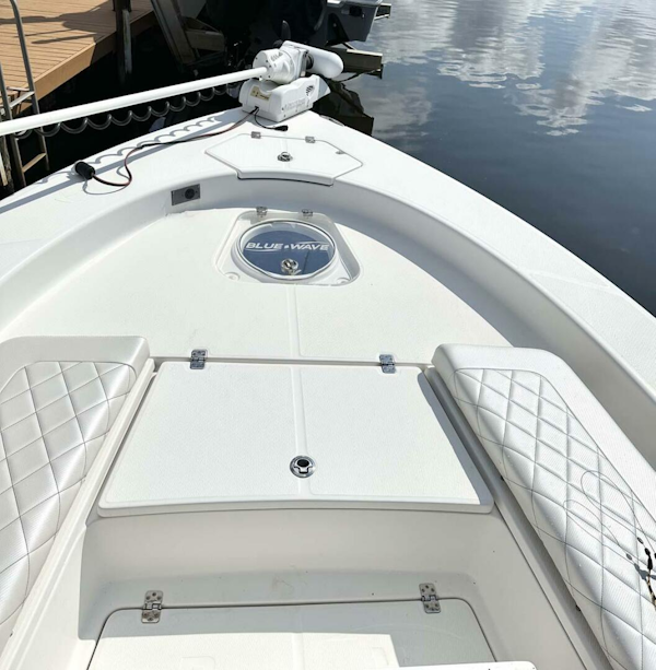 Blue Wave-2800 Pure Hybrid 2020 -Panama City-Florida-United States-4368526