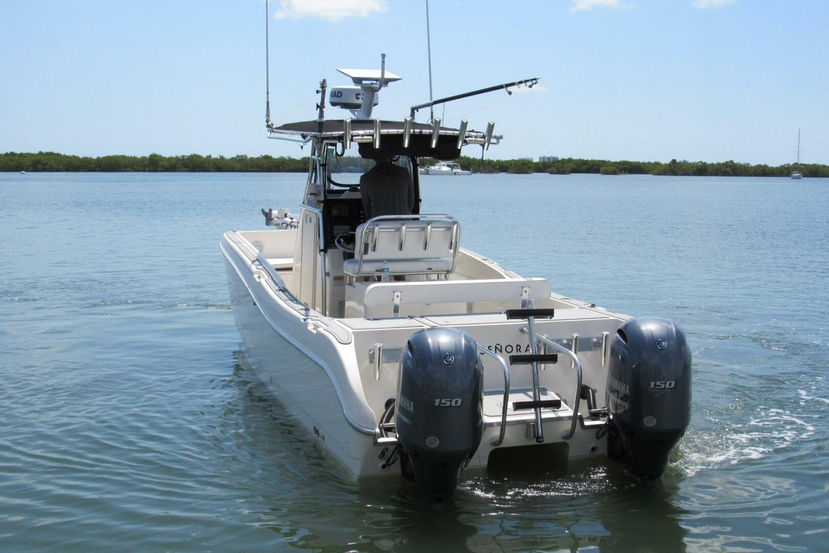 World Cat-246 F 1998-Sea Senora New Smyrna Beach-Florida-United States-4429438 | Thumbnail