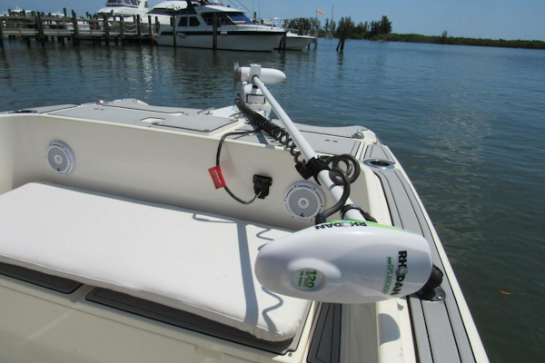 World Cat-246 F 1998-Sea Senora New Smyrna Beach-Florida-United States-4429390