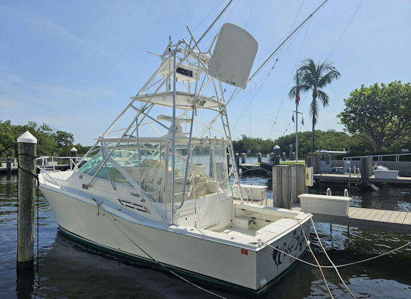 Cabo-31 Express 2001 -Boynton Beach-Florida-United States-4516720