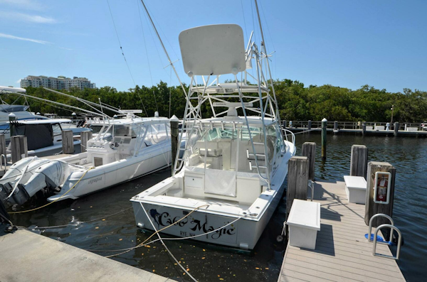 Cabo-31 Express 2001 -Boynton Beach-Florida-United States-4516768