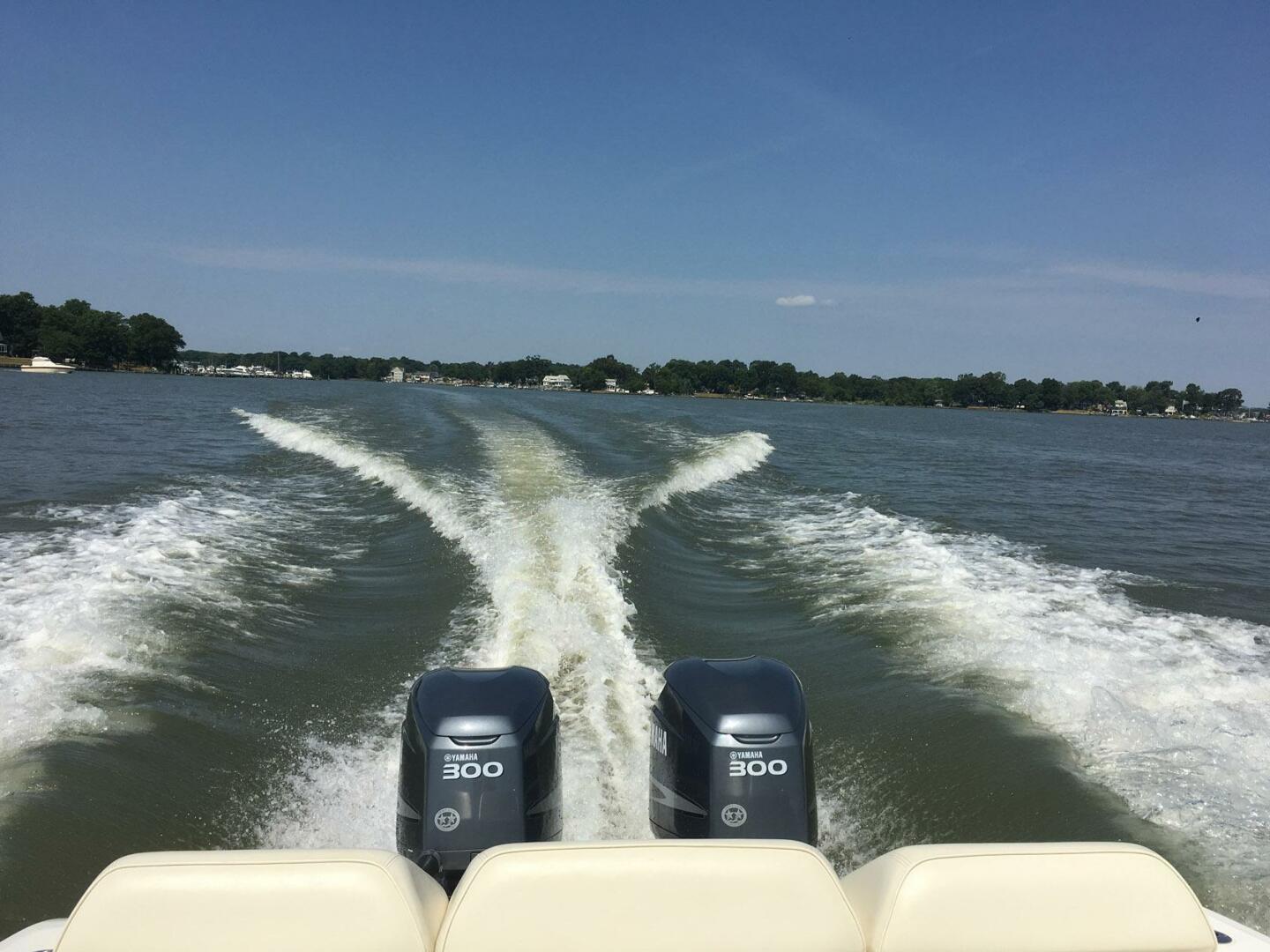 Marlago-FS35 2004 -Essex-Maryland-United States-4445103 | Thumbnail