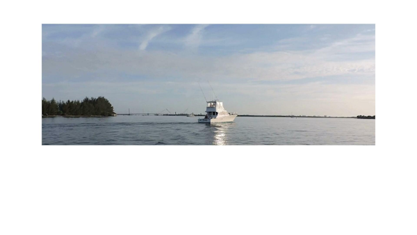 Post-44 1990-Lost Tarheel Fort Pierce-Florida-United States-Post44 Vid-4456953