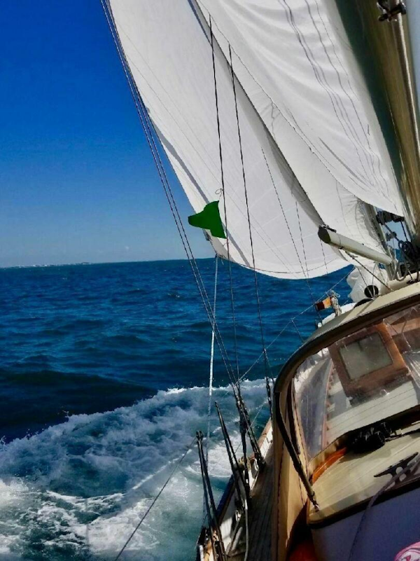 Cherubini-Schooner 1983-Victoria Newport-Rhode Island-United States-4740973