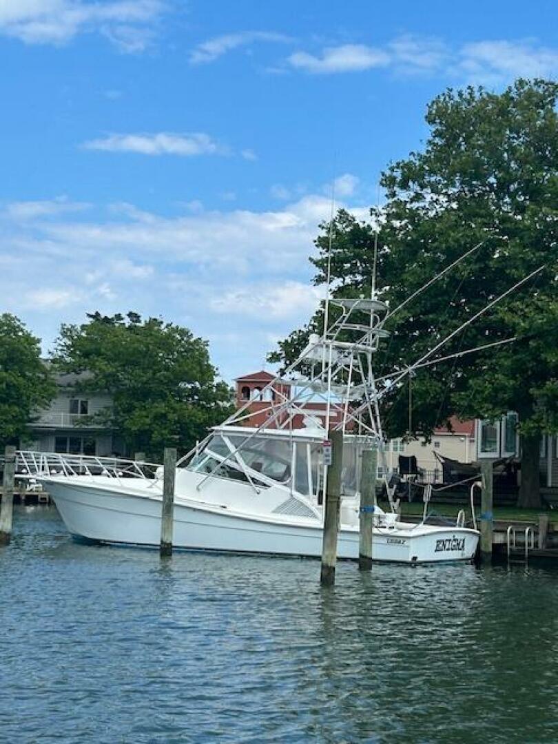 Topaz 2006 -Ocean City-Maryland-United States-4485936 | Thumbnail