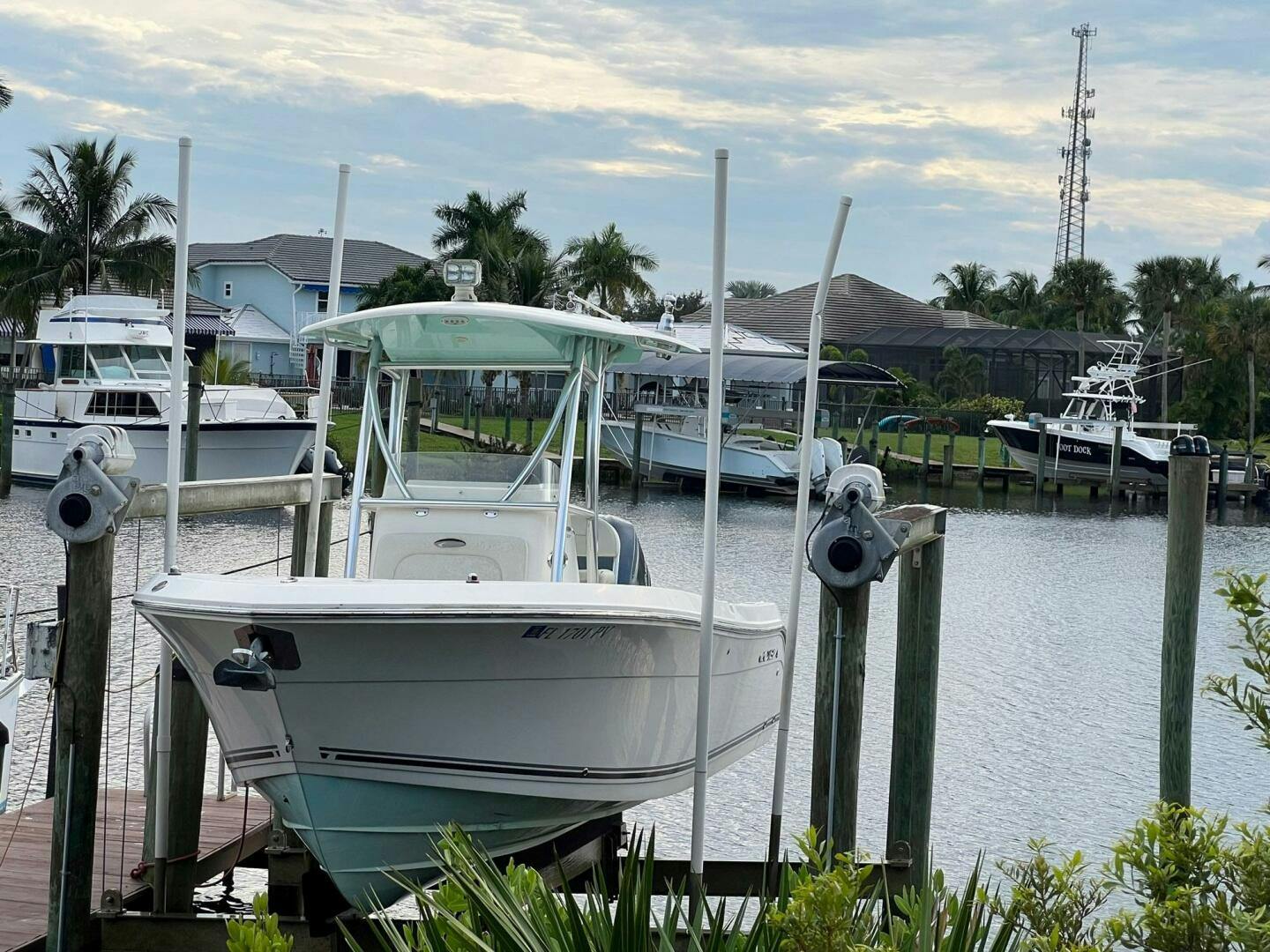 Cobia-237 CC 2015 -Stuart-Florida-United States-4501335
