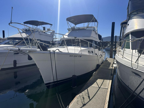 Bayliner 1992 -Sequim-Washington-United States-4509146