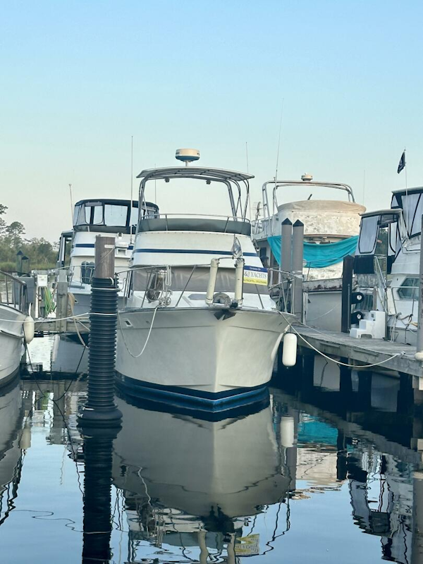 Tollycraft-34 Sedan Sport 1987-DRAGONFLY New Bern-North Carolina-United States-4517596