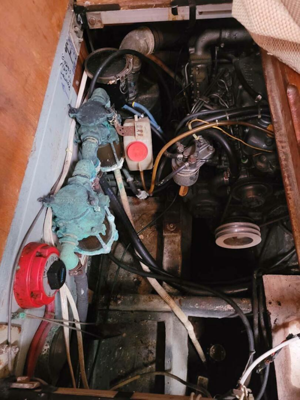 Irwin-Cutter 1988-Sea Peace San Carlos, Sonora-Mexico-4524307