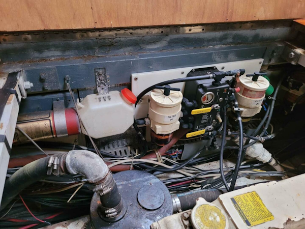 Irwin-Cutter 1988-Sea Peace San Carlos, Sonora-Mexico-4524305