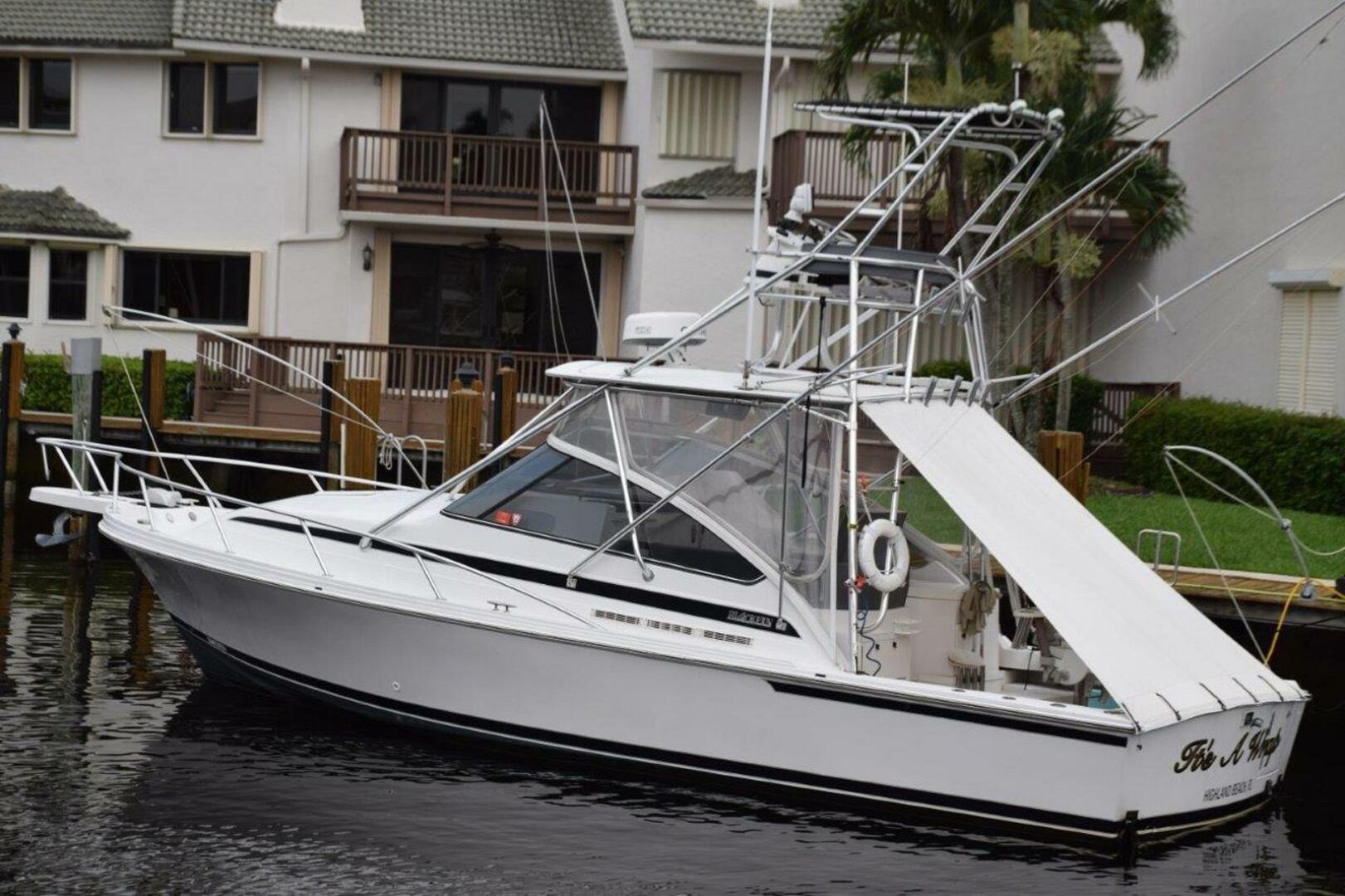 Blackfin-Combi 33 1995-ITS A WRAP Highland Beach-Florida-United States-Dockside-5398707 | Thumbnail
