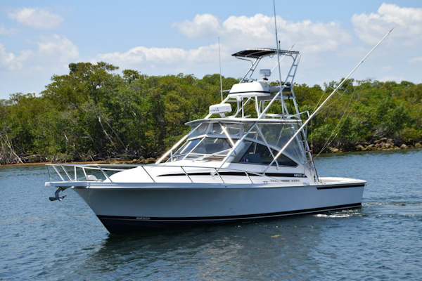 Blackfin-Combi 33 1995-ITS A WRAP Highland Beach-Florida-United States-Profile 4-5398726