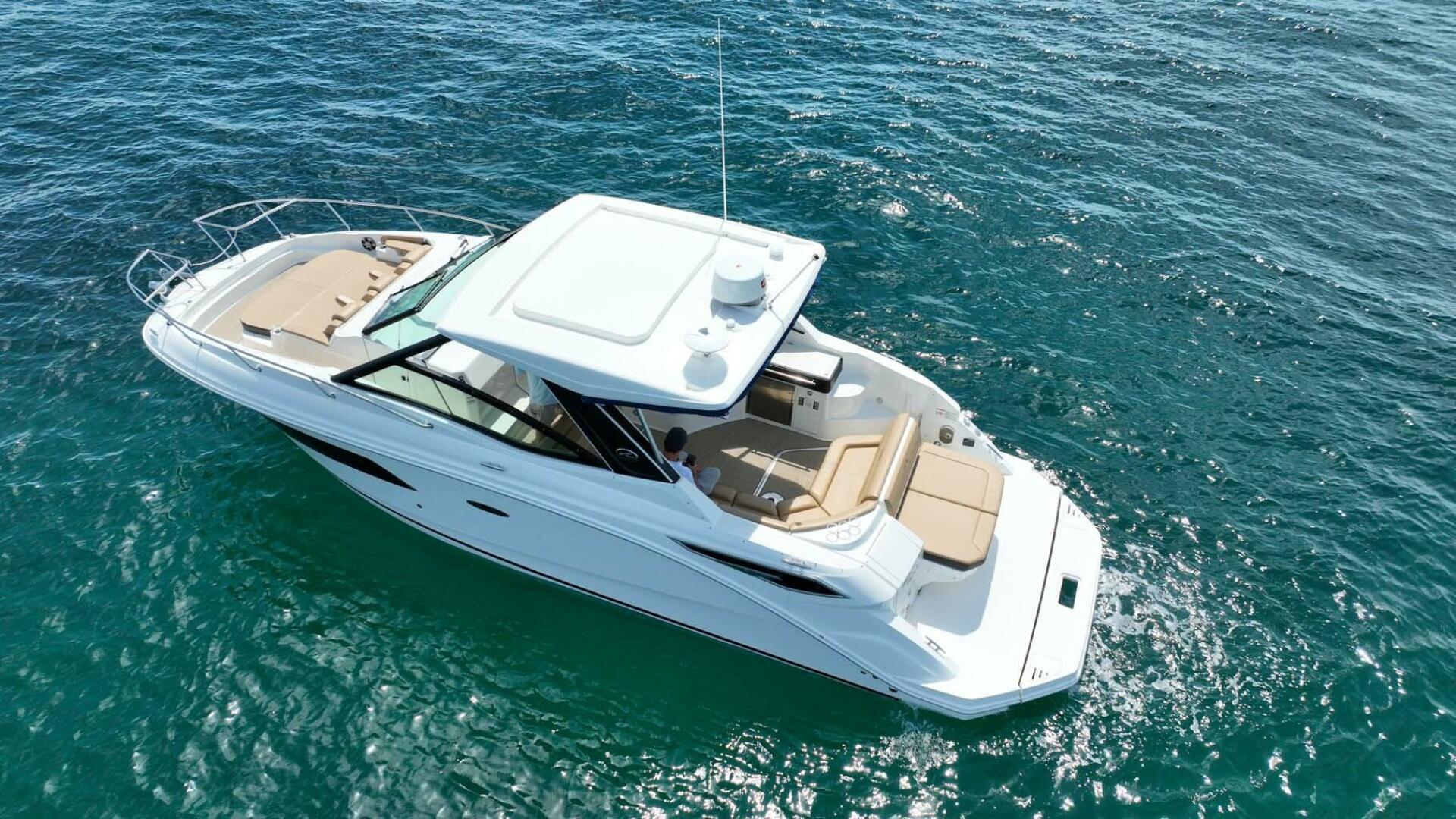 Sea Ray-320 Sundancer 2019-Rent Roll Lighthouse Point-Florida-United States-4580339 | Thumbnail