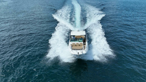 Sea Ray-320 Sundancer 2019-Rent Roll Lighthouse Point-Florida-United States-4580373
