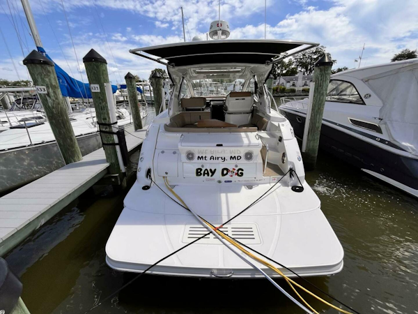 Sea Ray-350 Sundancer Coupe 2018-Bay Dog Edgewater-Maryland-United States-4583024