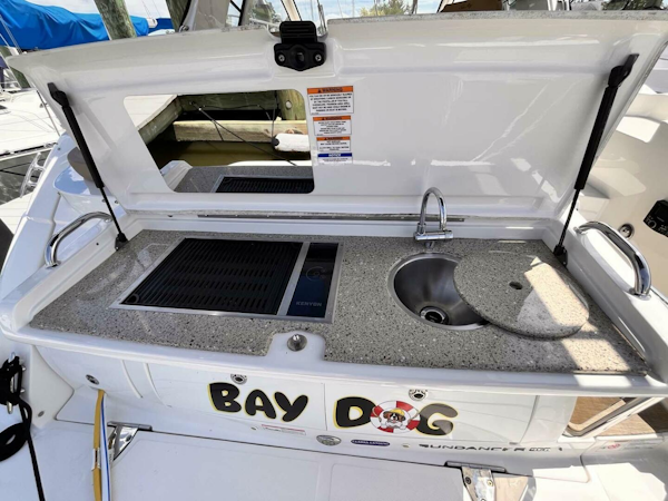 Sea Ray-350 Sundancer Coupe 2018-Bay Dog Edgewater-Maryland-United States-4582953