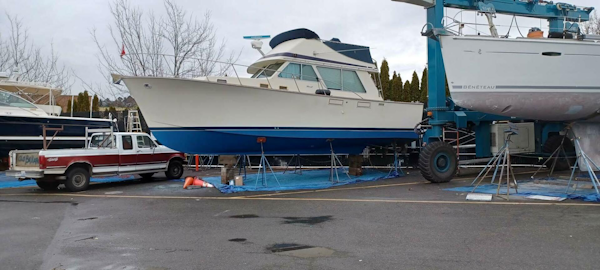 Tollycraft-Sedan Bridge 1984-Akvavit Seattle-Washington-United States-4587920