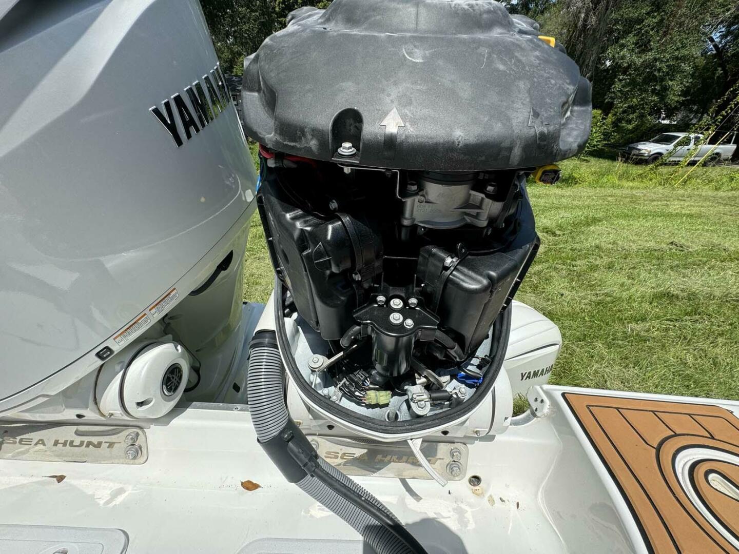 Sea Hunt 2023-Disengaged Charleston-South Carolina-United States-4630857 | Thumbnail