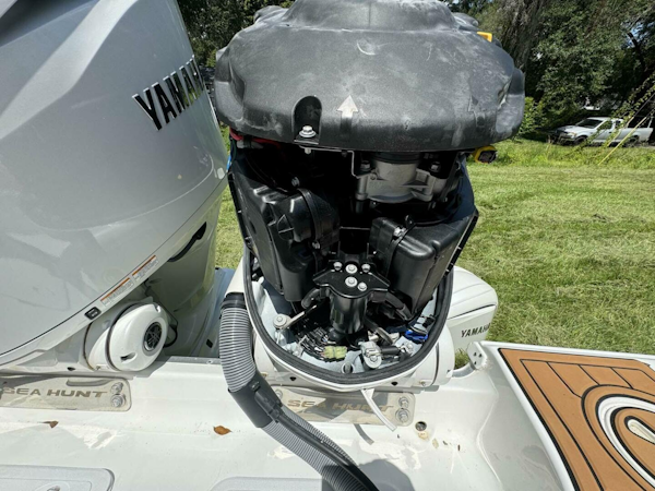 Sea Hunt 2023-Disengaged Charleston-South Carolina-United States-4630857