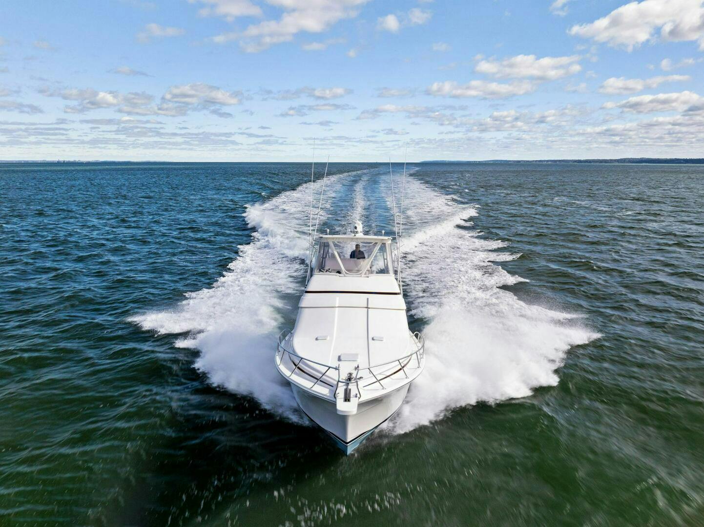 Bertram-Convertible 2010-BELLA VITA Pelham-New York-United States-4757961