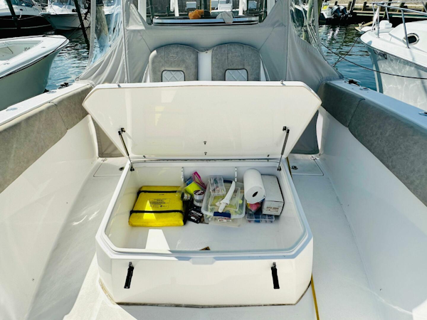 Sea Fox-328 Commander 2019 -Brielle-New Jersey-United States-4712653