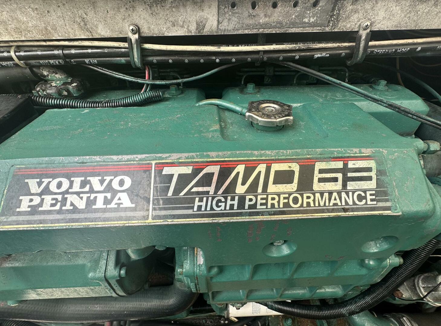 Phoenix-Tournament 1998-Black Dog Cape May-New Jersey-United States-4725607 | Thumbnail