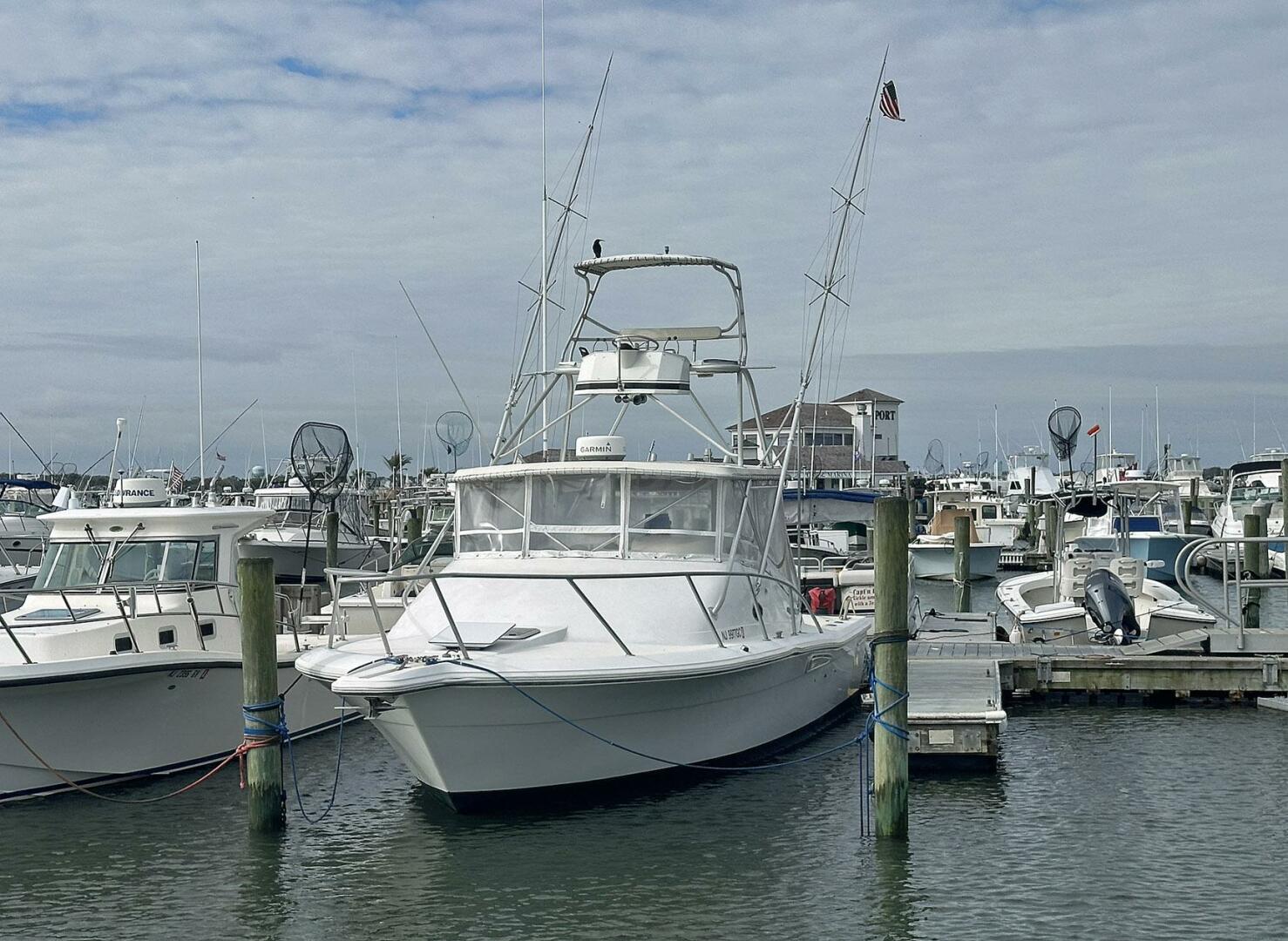 Phoenix-Tournament 1998-Black Dog Cape May-New Jersey-United States-4725577 | Thumbnail