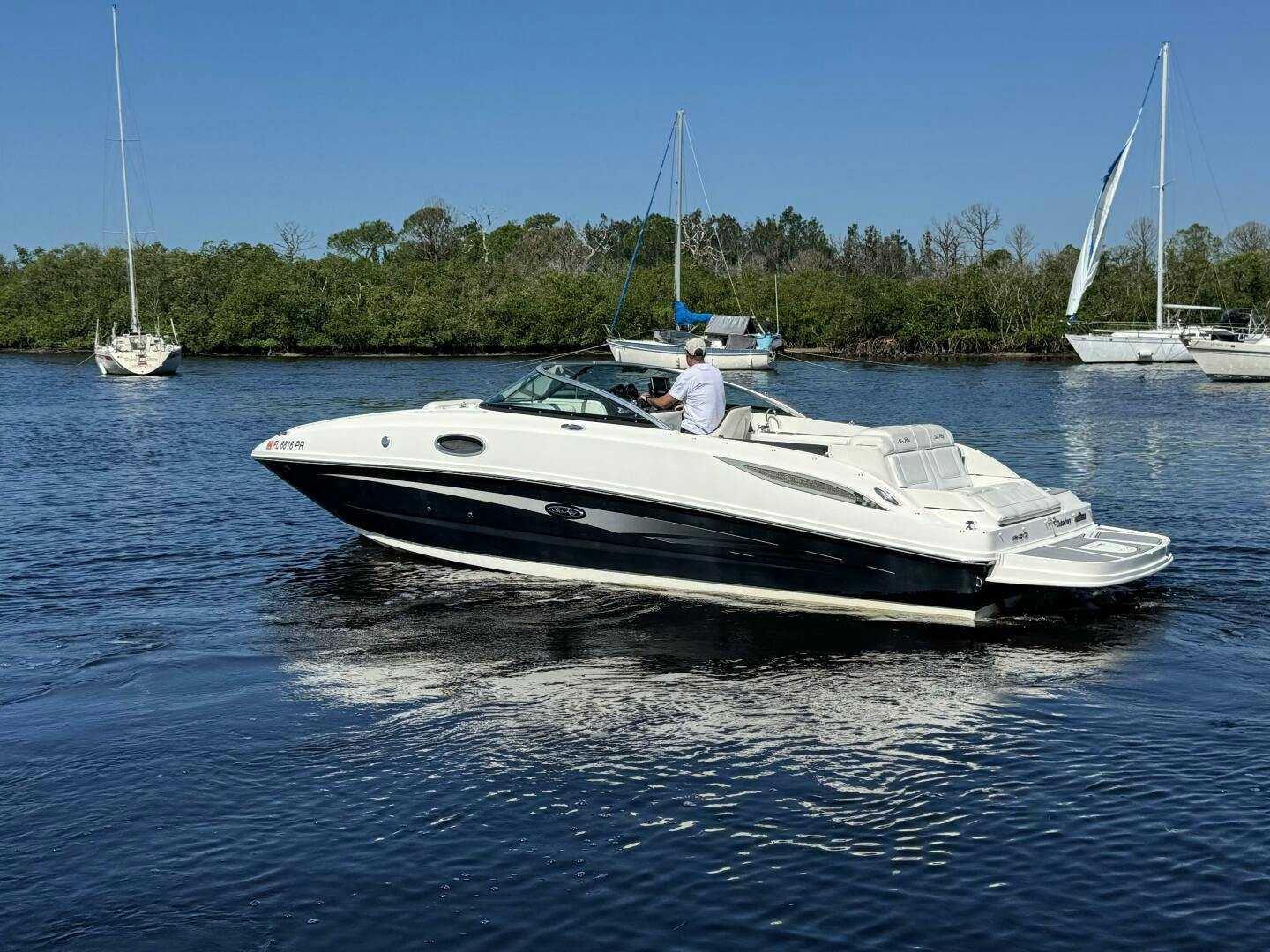 Sea Ray-260 Sundeck 2014 -Tarpon Springs-Florida-United States-4744103