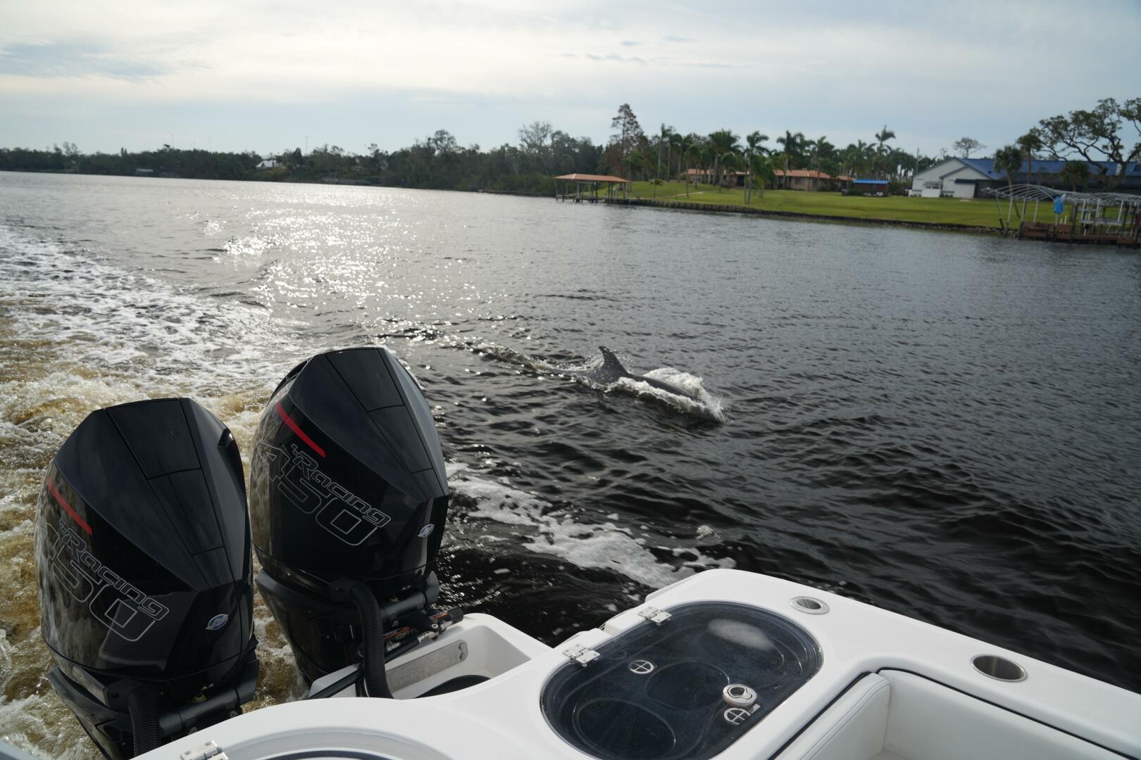 Invincible-46 Catamaran 2022-Amazing Grace Riverview-Florida-United States-4787011 | Thumbnail