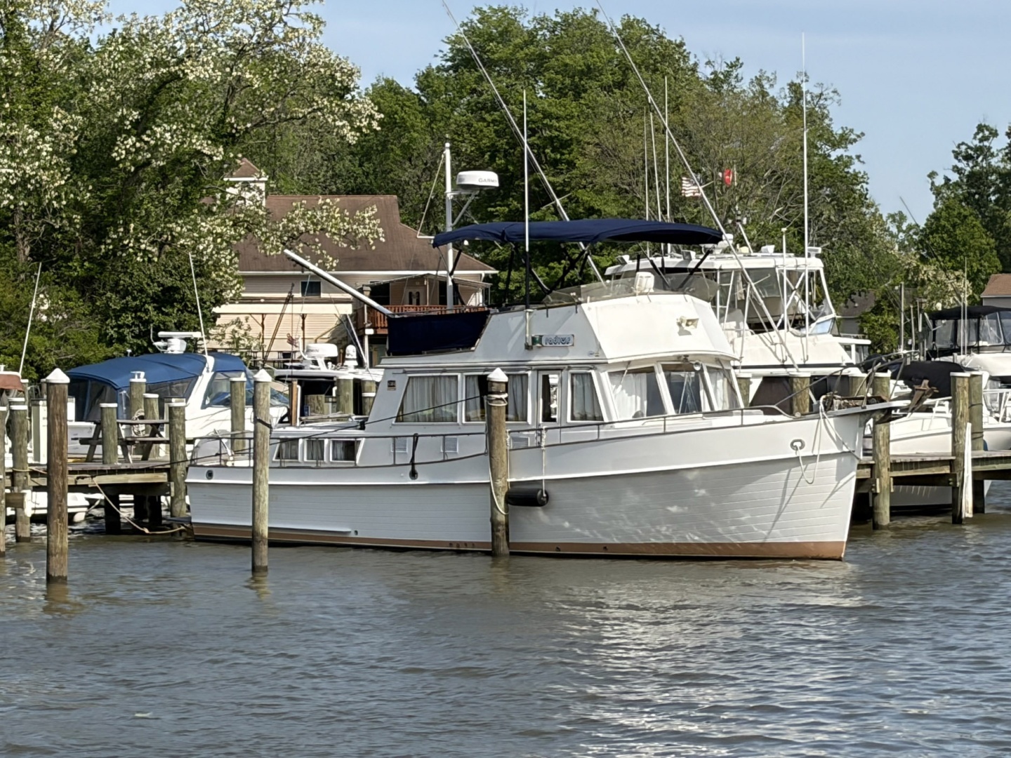 Grand Banks-Classic 1986-Radius Essex-Maryland-United States-6085813 | Thumbnail