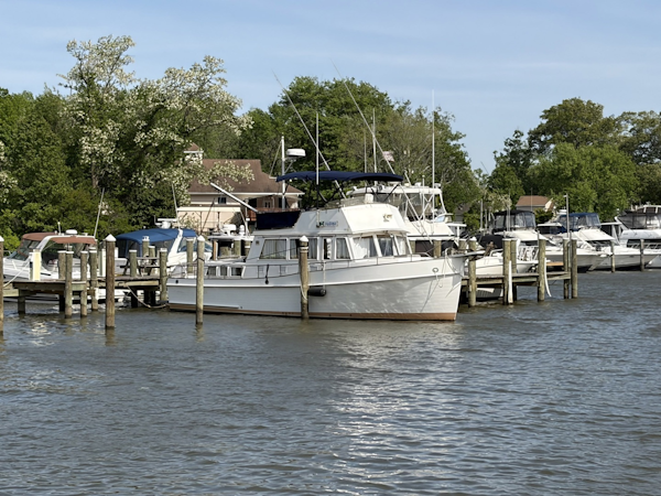 Grand Banks-Classic 1986-Radius Essex-Maryland-United States-6085814