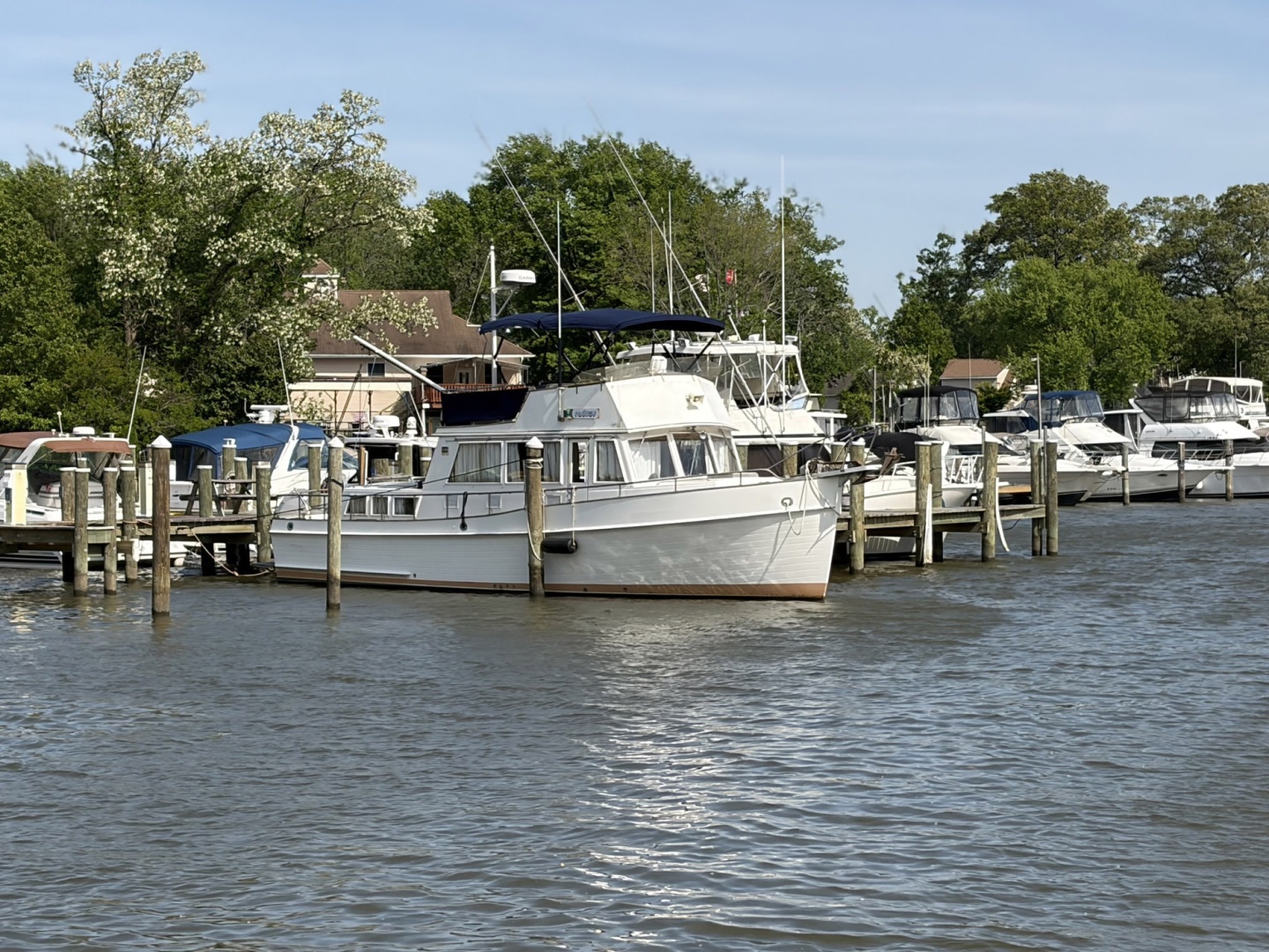 Grand Banks-Classic 1986-Radius Essex-Maryland-United States-6085815 | Thumbnail