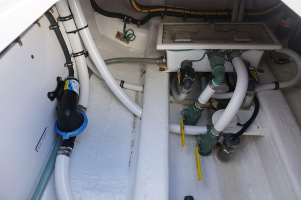 Invincible-Catamaran 2020-X Delray Beach-Florida-United States-4826489