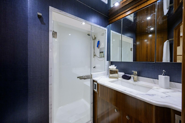 Viking-92 Enclosed Bridge 2020-CHINA TIME Jupiter-Florida-United States-Viking 92 CHINA TIME  Starboard Guest Head-4890215