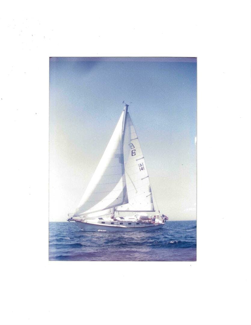 Cape Dory-36 Cutter 1986-Aegis Manchester-Massachusetts-United States-4904624