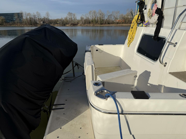 Bayliner-4087 1998-Important Business Richmond-British Columbia-Canada-4941321