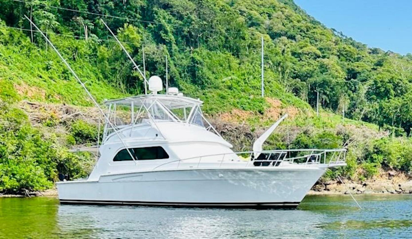Bertram-54 1988 -Stuart-1988 Bertram 54 yacht on calm water near lush green shoreline.-4947199