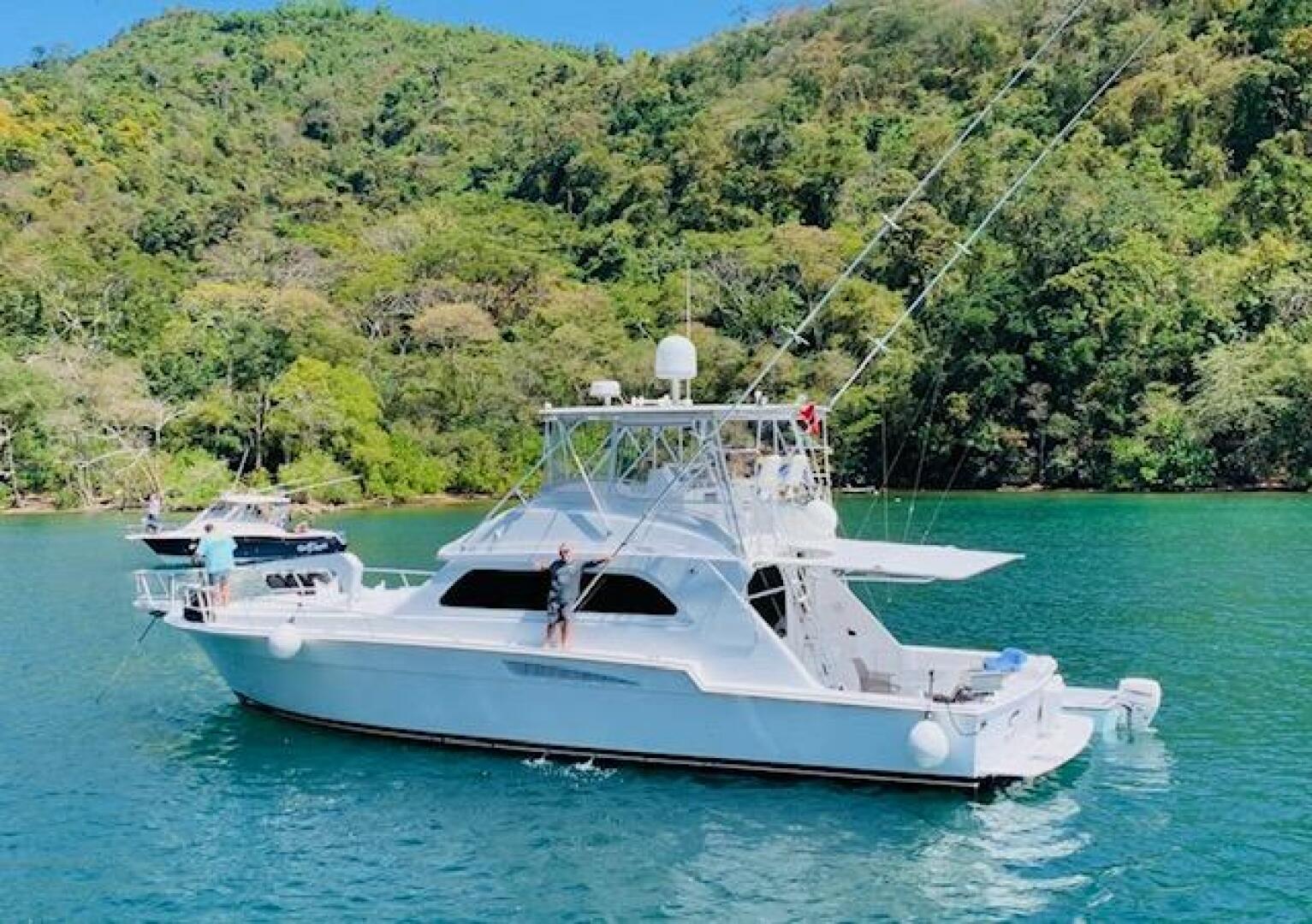 Bertram-54 1988 -Stuart-1988 Bertram 54 yacht on serene water, surrounded by lush green hills.-4947203 | Thumbnail