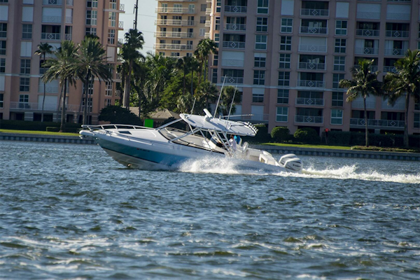 Intrepid-370 Cuddy 2012 -St. Petersburg-Florida-United States-4974197