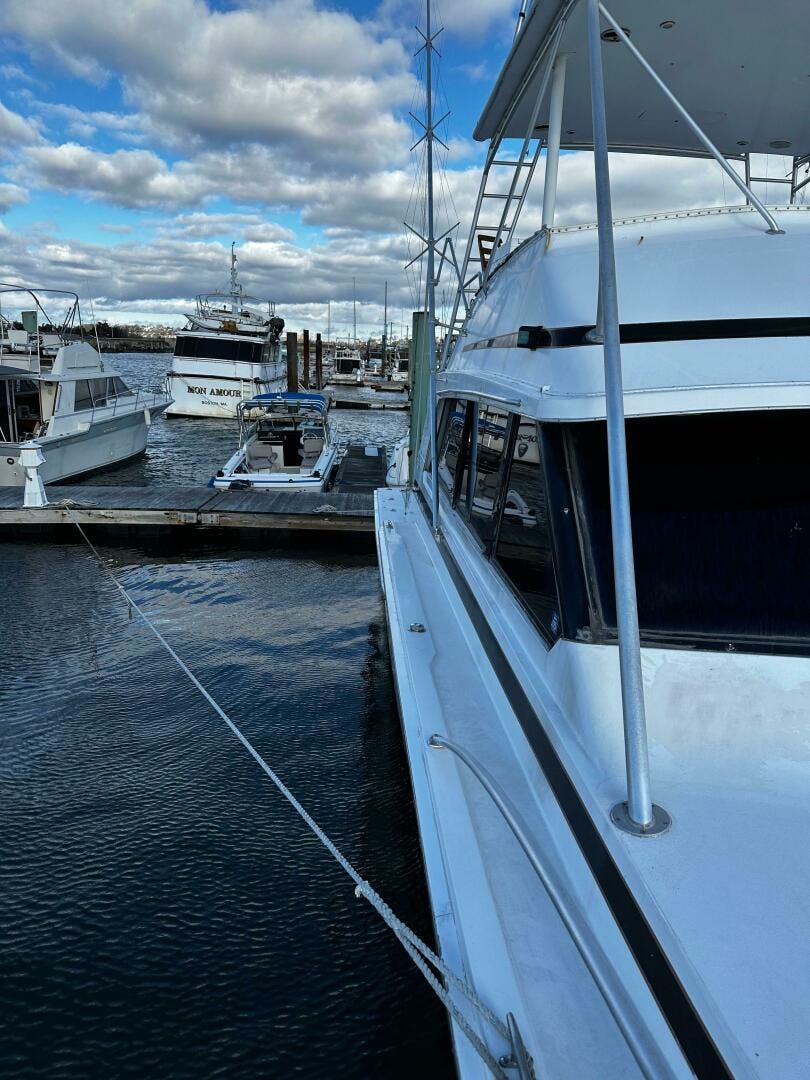 Bertram-54 Convertible 1983-For Reel Gloucester-Massachusetts-United States-4954090