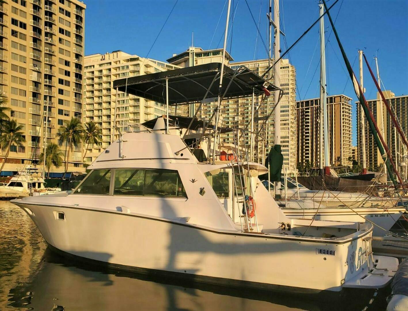 Bertram-38 Convertible Sportfisher 1979-RUSALKA Honolulu-Hawaii-United States-4976557