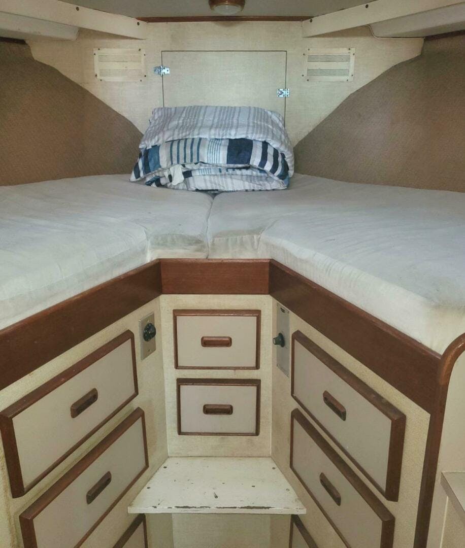 Bertram-38 Convertible Sportfisher 1979-RUSALKA Honolulu-Hawaii-United States-4976558