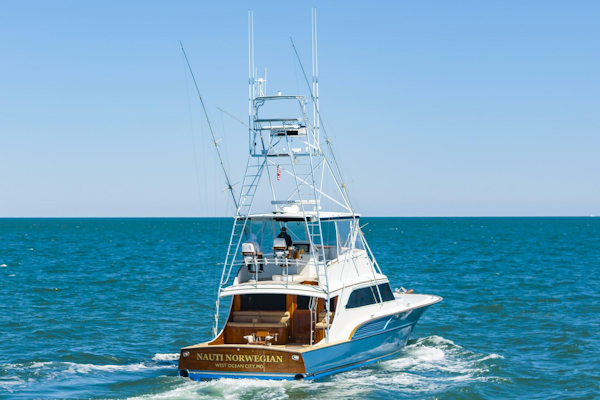 Buddy Davis-61 Convertible 1993-Nauti Norwegian Hampton-Virginia-United States-5172509