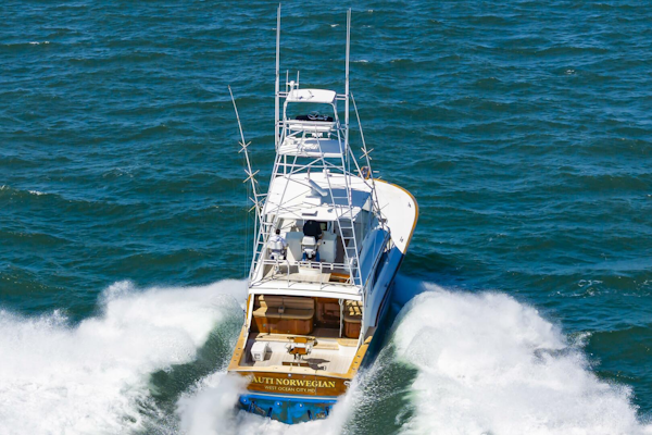 Buddy Davis-61 Convertible 1993-Nauti Norwegian Hampton-Virginia-United States-5172517